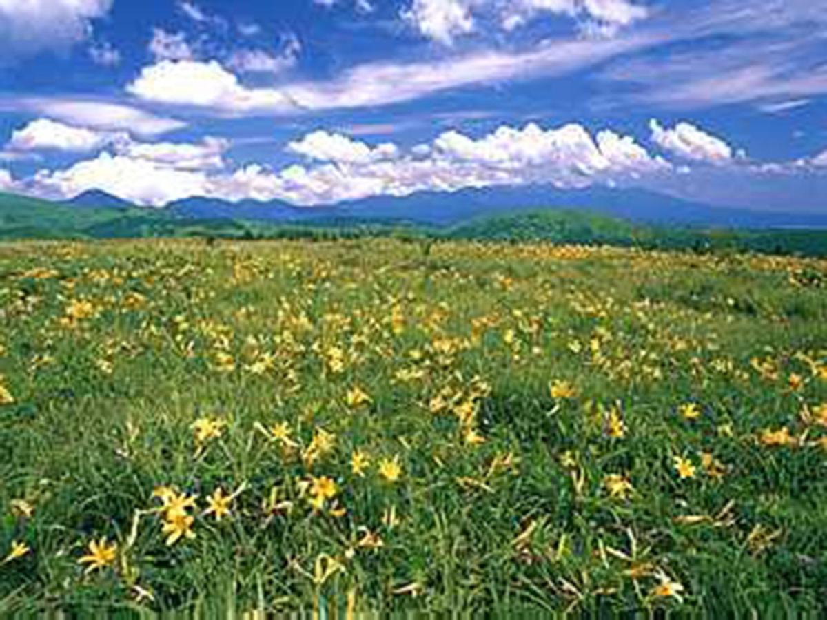 茅野 君待層旅馆酒店 外观 照片