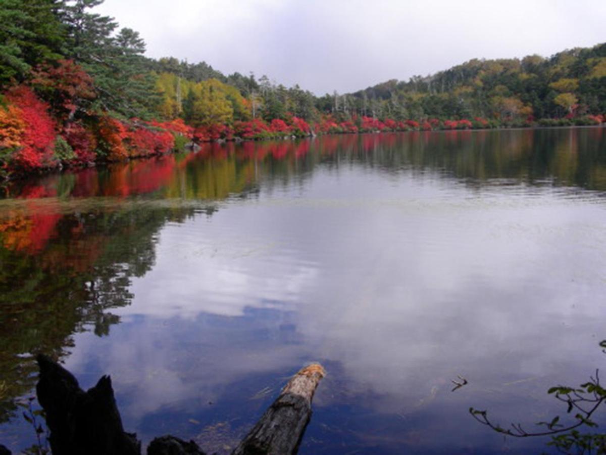 茅野 君待層旅馆酒店 外观 照片
