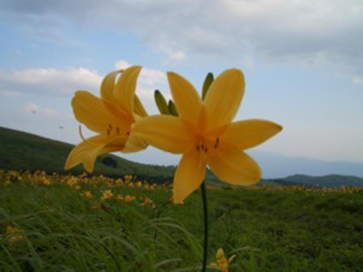 茅野 君待層旅馆酒店 外观 照片